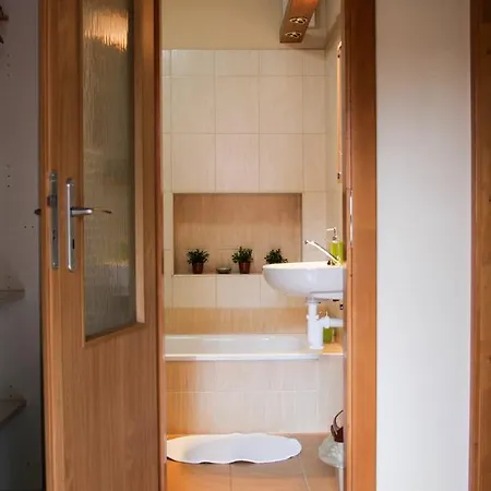 Apartman Sverana Velké Karlovice Exterior photo