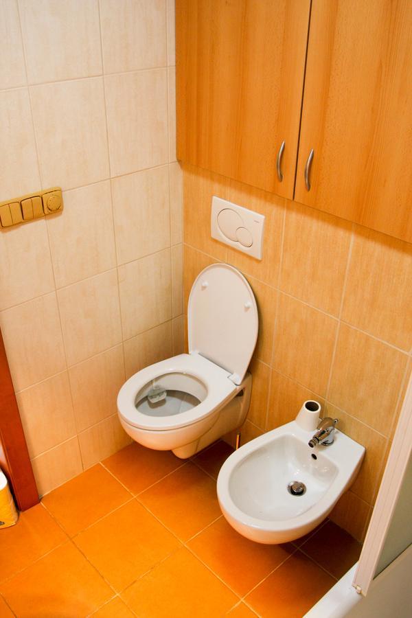 Sverana Apartment Velke Karlovice